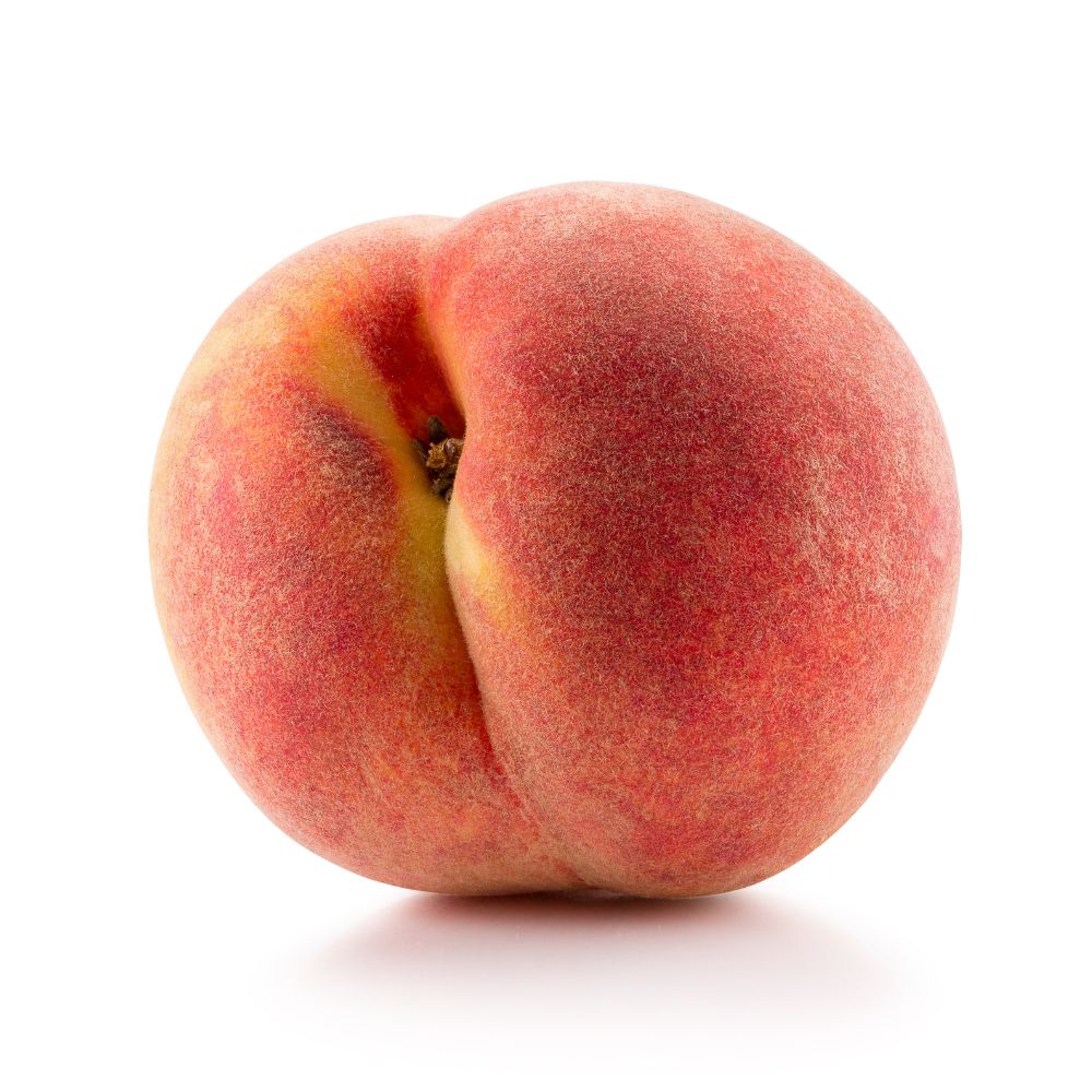 AHA DE PÊCHE