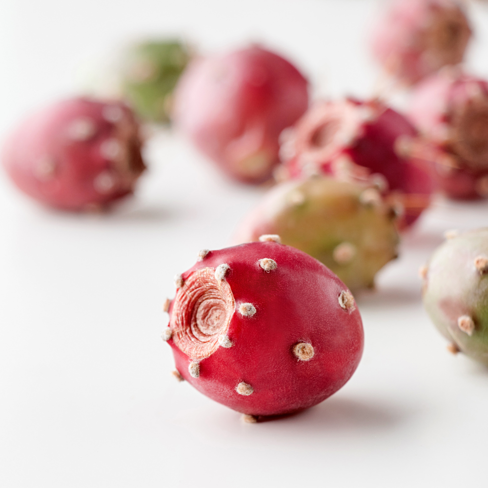 figue de barbarie - soin et cosmétique - Princesse Lia